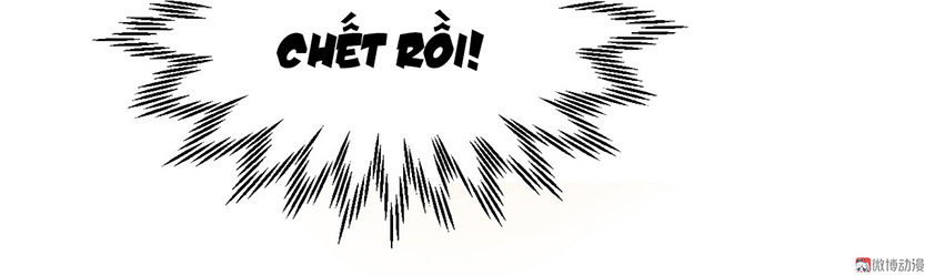 Tổng Tài Truy Thê: Phu Nhân Lại Chạy Trốn Chapter 1 - 15