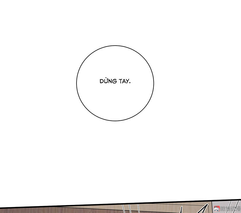 Tổng Tài Truy Thê: Phu Nhân Lại Chạy Trốn Chapter 11 - 14