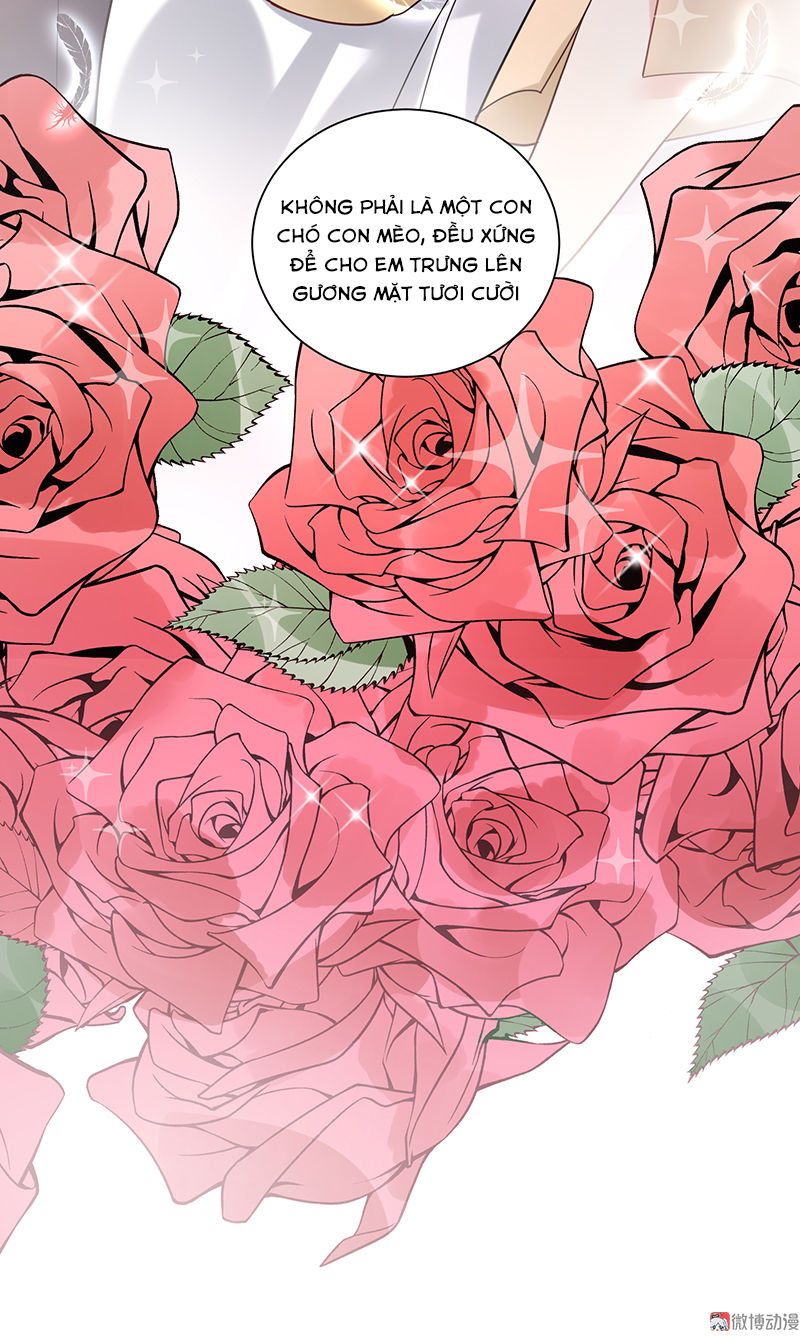 Tổng Tài Truy Thê: Phu Nhân Lại Chạy Trốn Chapter 11 - 23