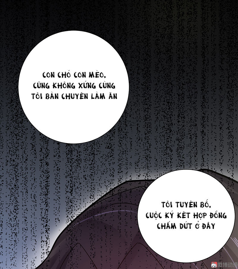 Tổng Tài Truy Thê: Phu Nhân Lại Chạy Trốn Chapter 11 - 25