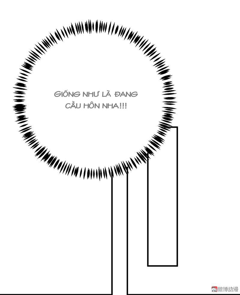 Tổng Tài Truy Thê: Phu Nhân Lại Chạy Trốn Chapter 13 - 32