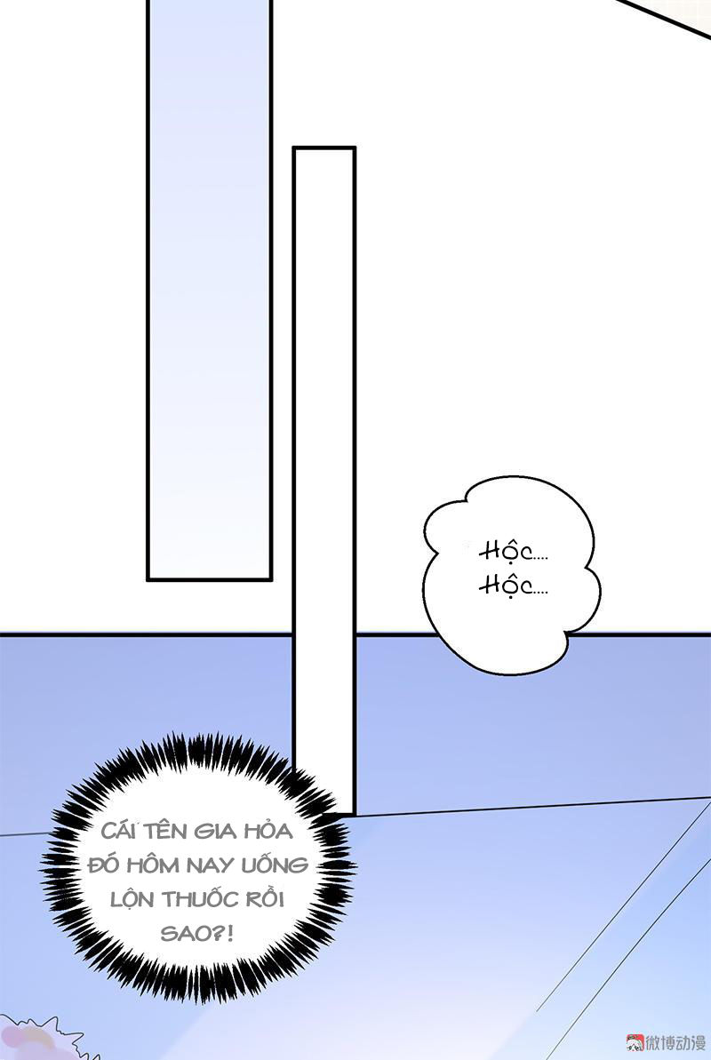 Tổng Tài Truy Thê: Phu Nhân Lại Chạy Trốn Chapter 13 - 44