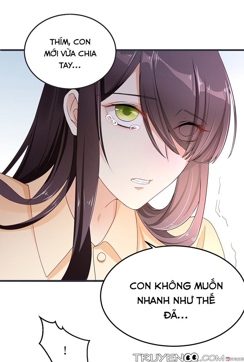 Tổng Tài Truy Thê: Phu Nhân Lại Chạy Trốn Chapter 2 - 15