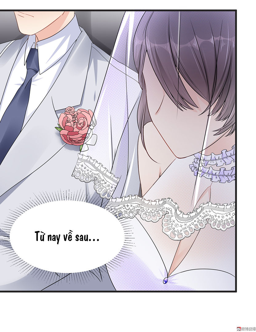 Tổng Tài Truy Thê: Phu Nhân Lại Chạy Trốn Chapter 2 - 36