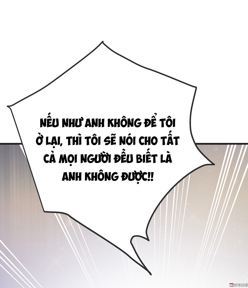 Tổng Tài Truy Thê: Phu Nhân Lại Chạy Trốn Chapter 3 - 43