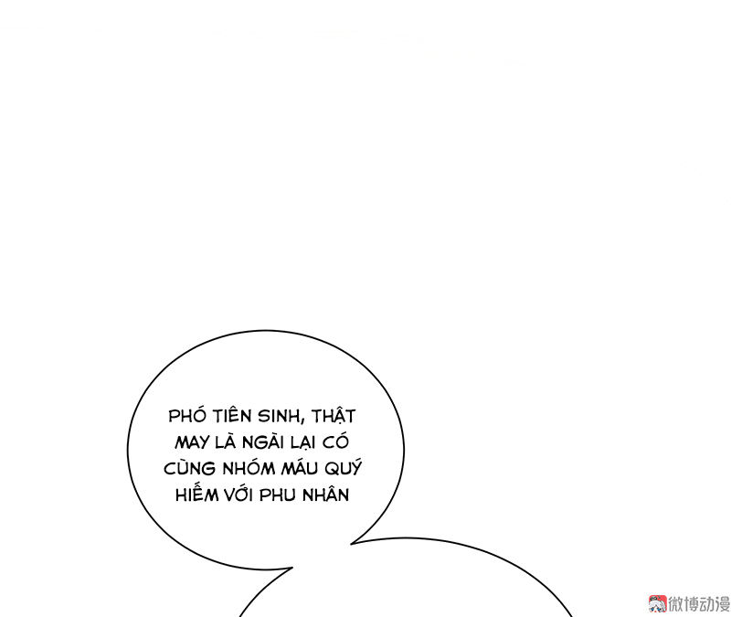 Tổng Tài Truy Thê: Phu Nhân Lại Chạy Trốn Chapter 7 - 58