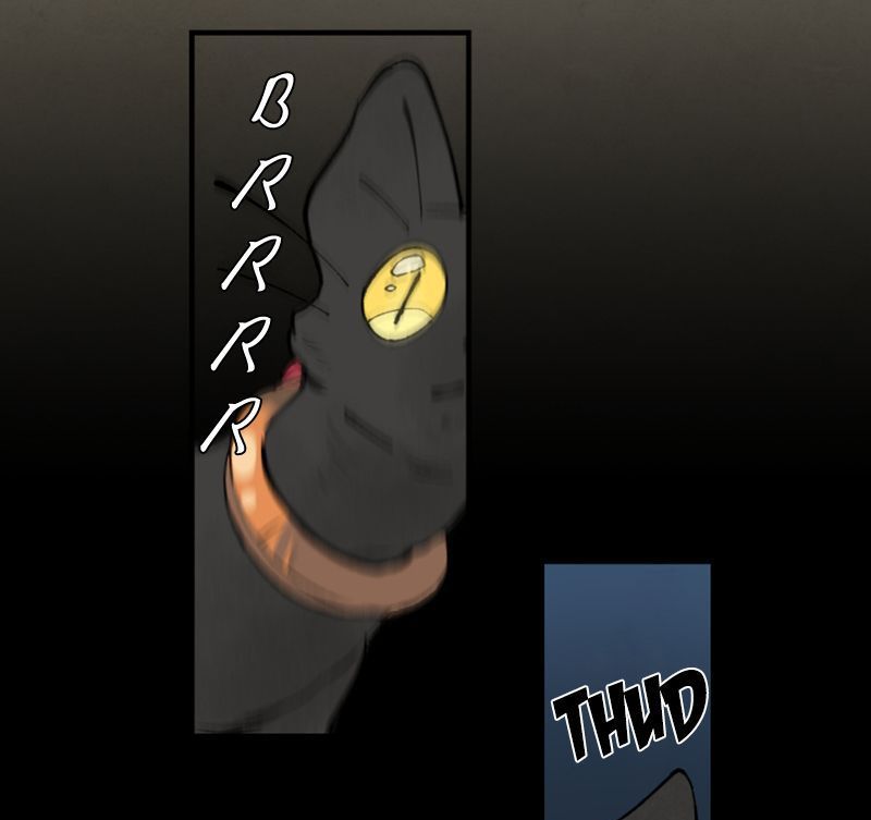 Nơi Mà Ngôi Sao Băng Rơi Xuống, Hãy Đợi Ở Đó Chapter 5 - 12