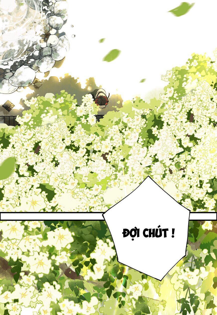 Lưu Hoa Bất Cập Xuân Chapter 0.1 - 24