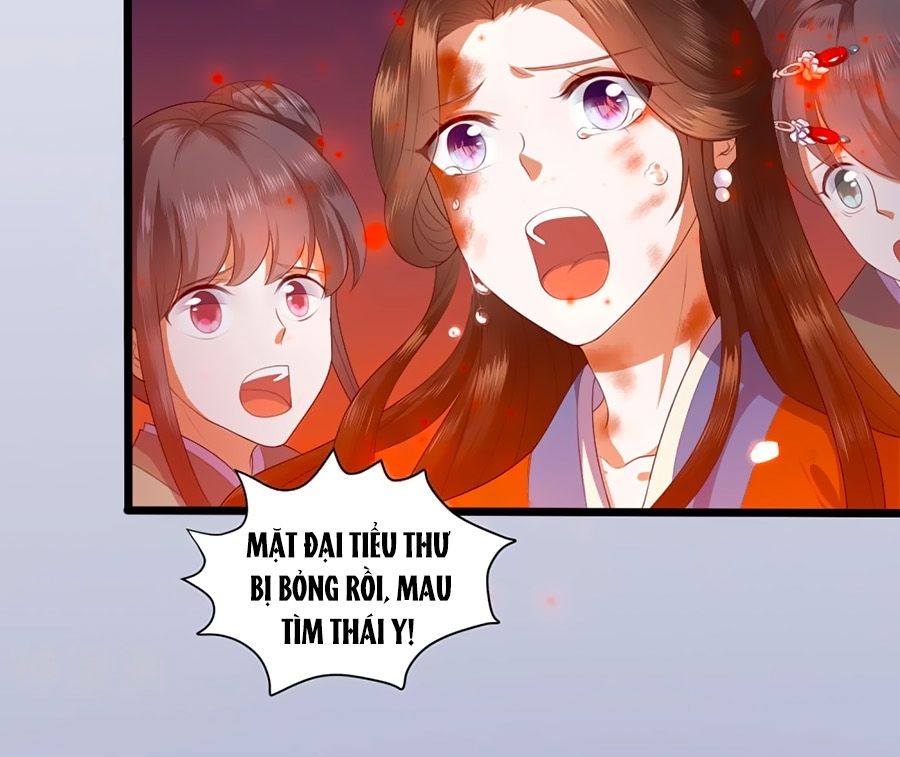 Phượng Hoàng Thác: Chuyên Sủng Khí Thê Chapter 1 - 7