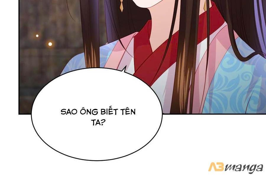 Phượng Hoàng Thác: Chuyên Sủng Khí Thê Chapter 104 - 6