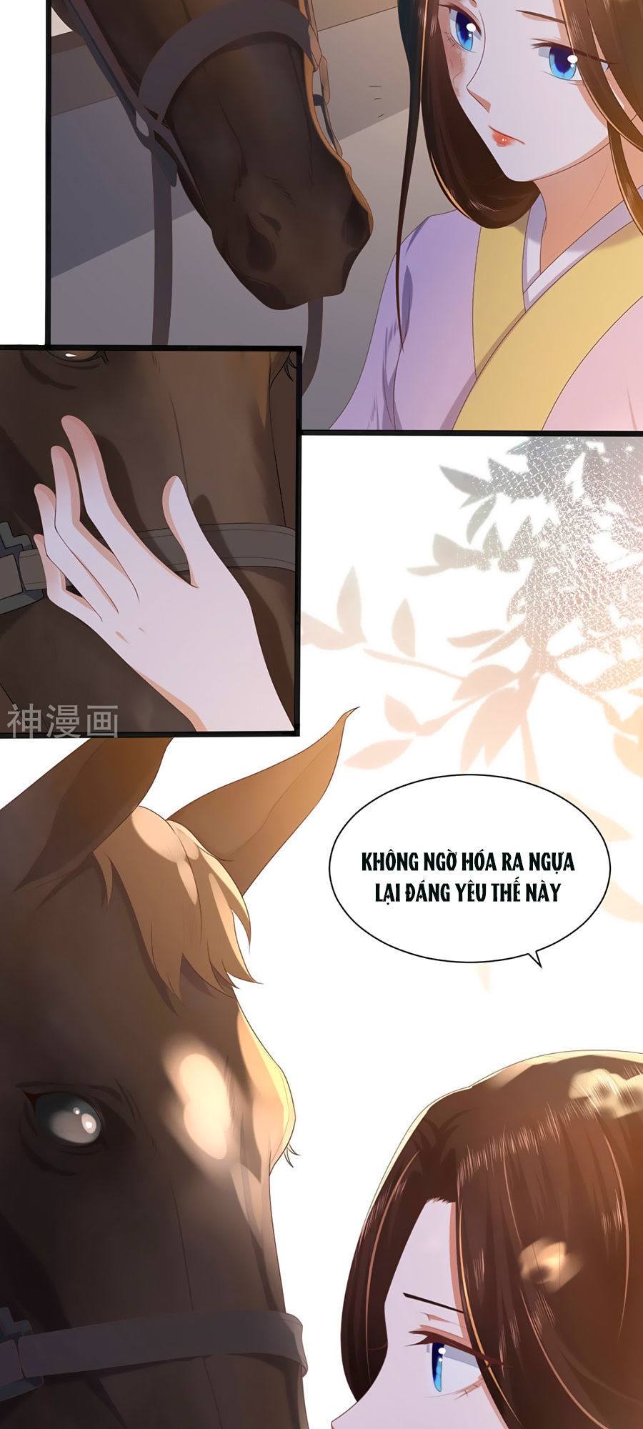 Phượng Hoàng Thác: Chuyên Sủng Khí Thê Chapter 2 - 22