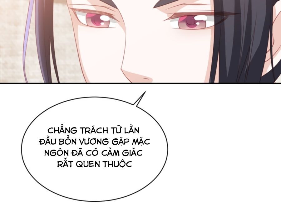 Phượng Hoàng Thác: Chuyên Sủng Khí Thê Chapter 59 - 11