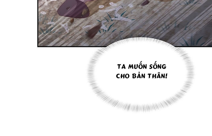 Phượng Hoàng Thác: Chuyên Sủng Khí Thê Chapter 64 - 12