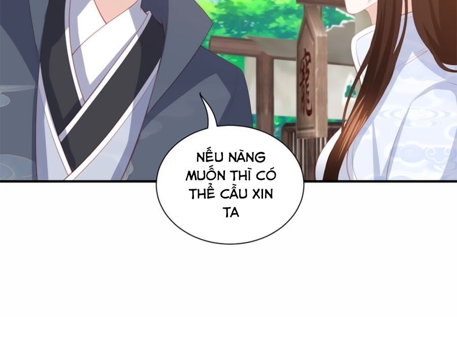 Phượng Hoàng Thác: Chuyên Sủng Khí Thê Chapter 74 - 10