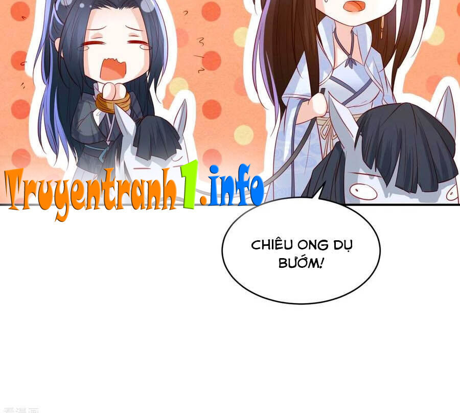 Phượng Hoàng Thác: Chuyên Sủng Khí Thê Chapter 94 - 3