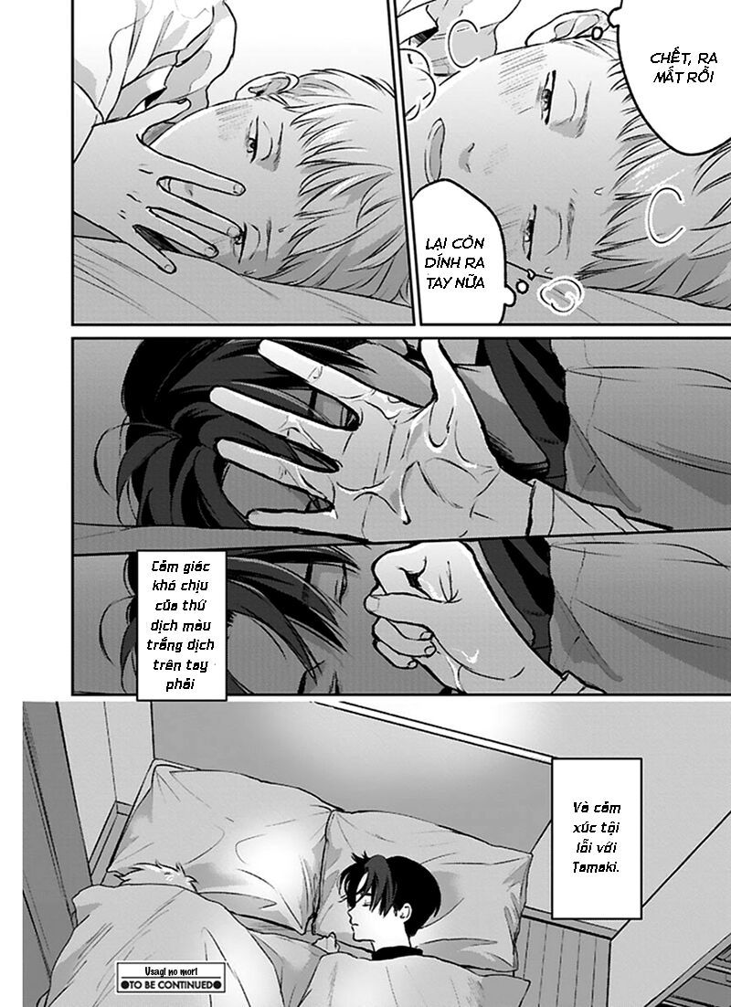 Khu Rừng Của Quý Ngài Thỏ Đế Chapter 1 - 29