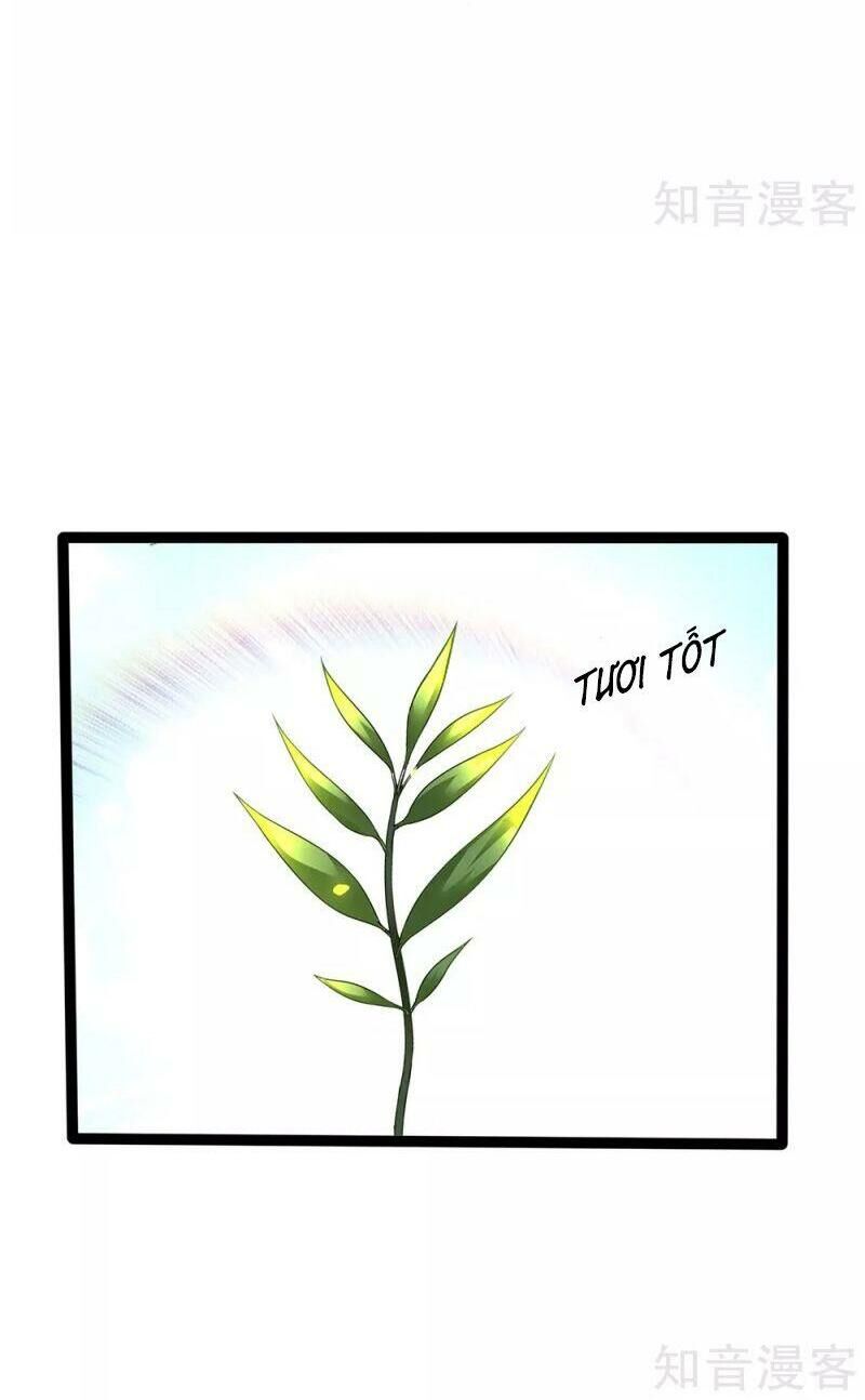 Vú Em Tiên Tôn Đi Ở Rể Chapter 154 - 27