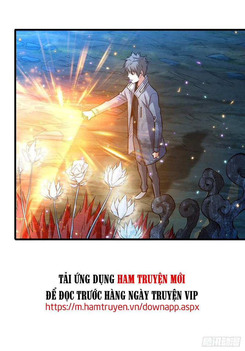 Trở Về Làm Đại Lão Thời Mạt Thế Chapter 81 - 3