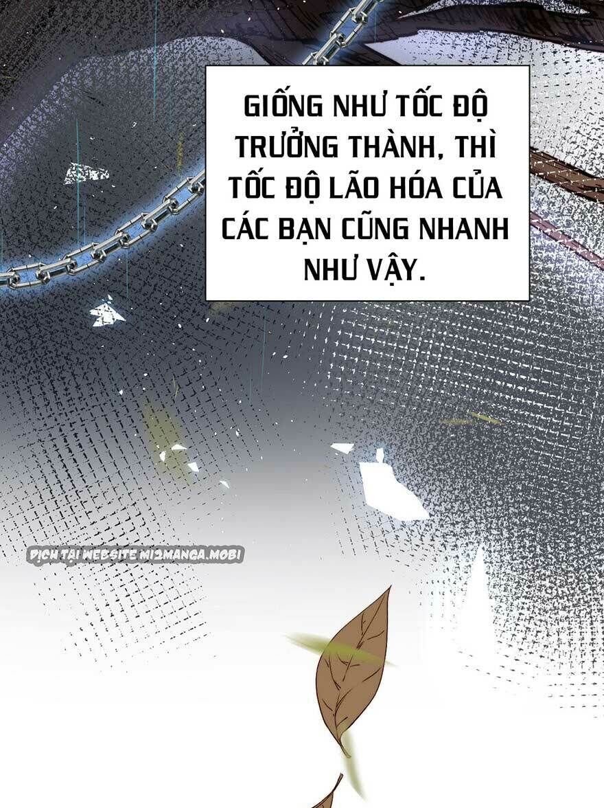 Triều Tây, Con Thích Chú Chapter 14 - 19