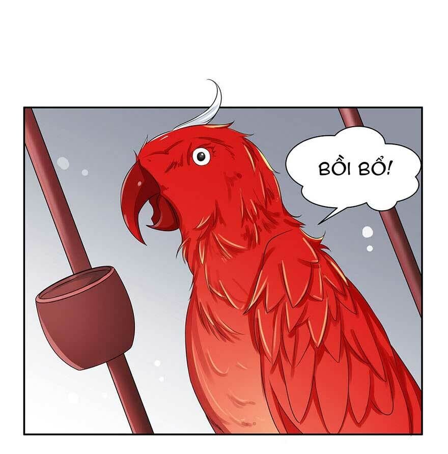Hoạn Phi Thiên Hạ Chapter 29 - 26