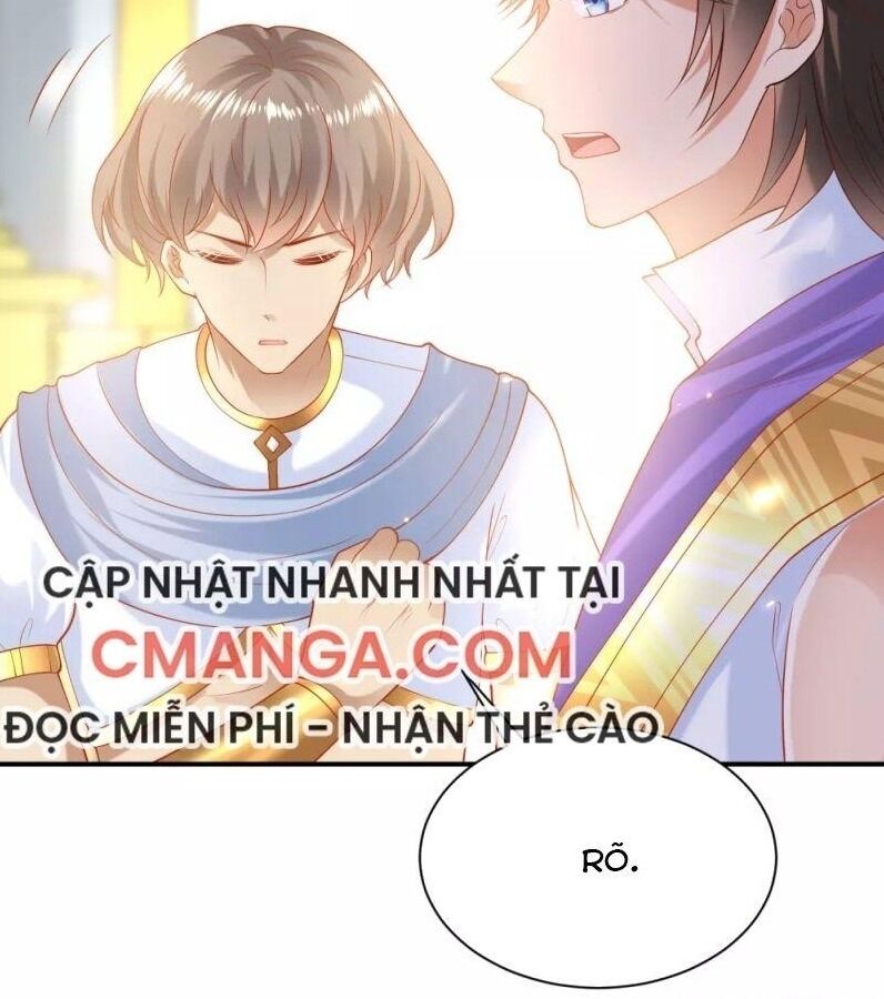 Sủng Hậu Của Vương Chapter 62 - 22