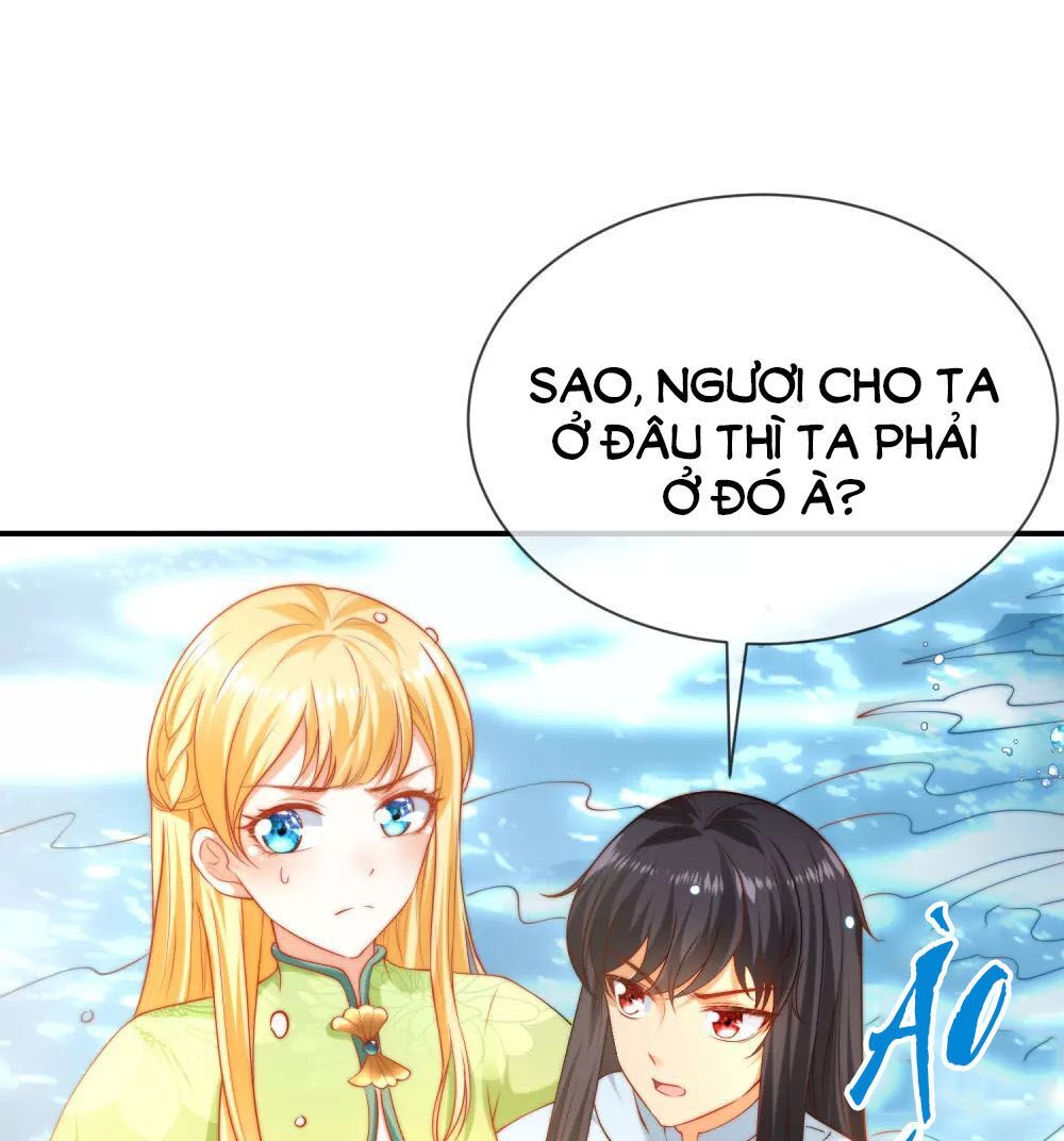 Sủng Hậu Của Vương Chapter 68 - 4