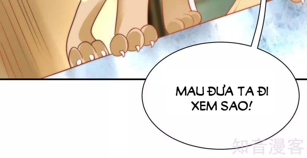 Sủng Hậu Của Vương Chapter 70 - 10