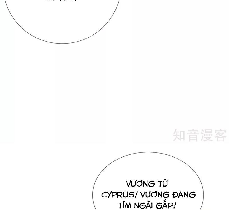 Sủng Hậu Của Vương Chapter 54 - 24