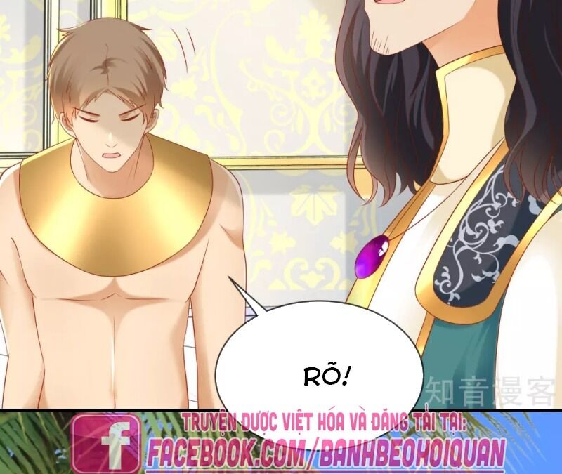 Sủng Hậu Của Vương Chapter 56 - 11