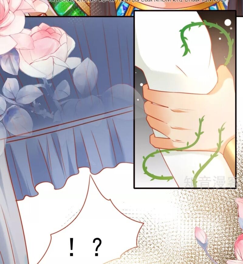 Sủng Hậu Của Vương Chapter 56 - 38