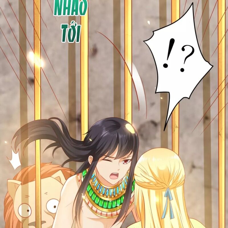 Sủng Hậu Của Vương Chapter 56 - 49