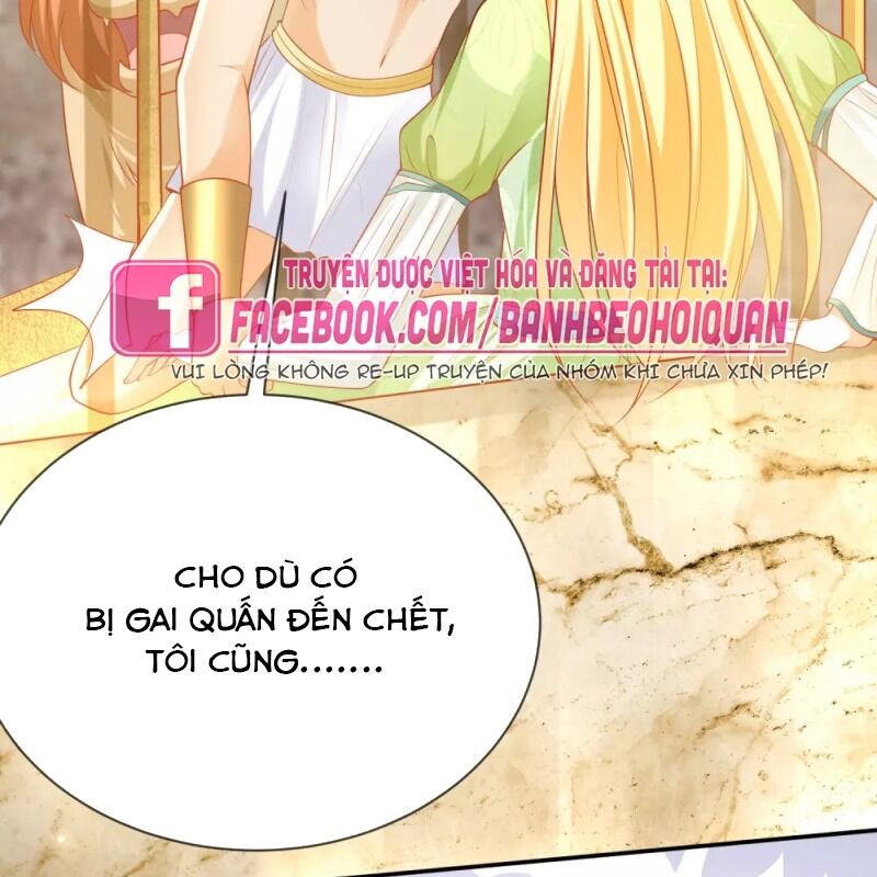 Sủng Hậu Của Vương Chapter 56 - 50