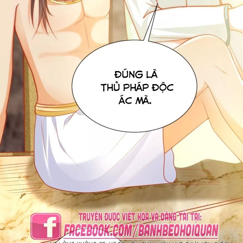 Sủng Hậu Của Vương Chapter 56 - 56