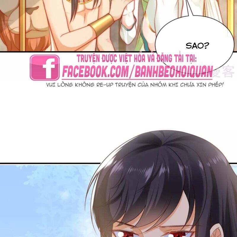 Sủng Hậu Của Vương Chapter 56 - 60
