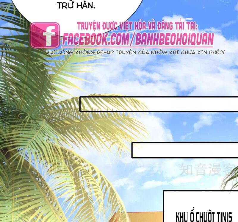 Sủng Hậu Của Vương Chapter 57 - 44