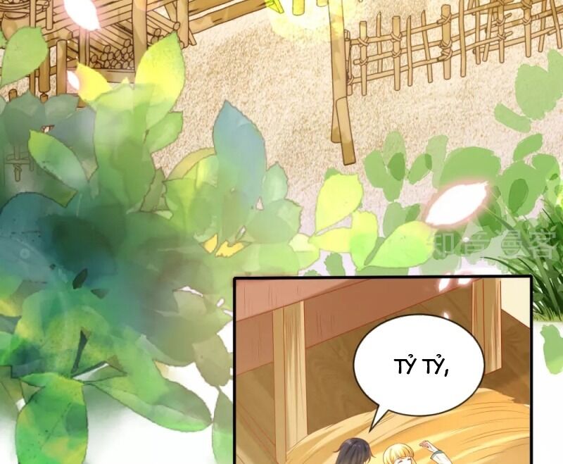 Sủng Hậu Của Vương Chapter 59 - 27