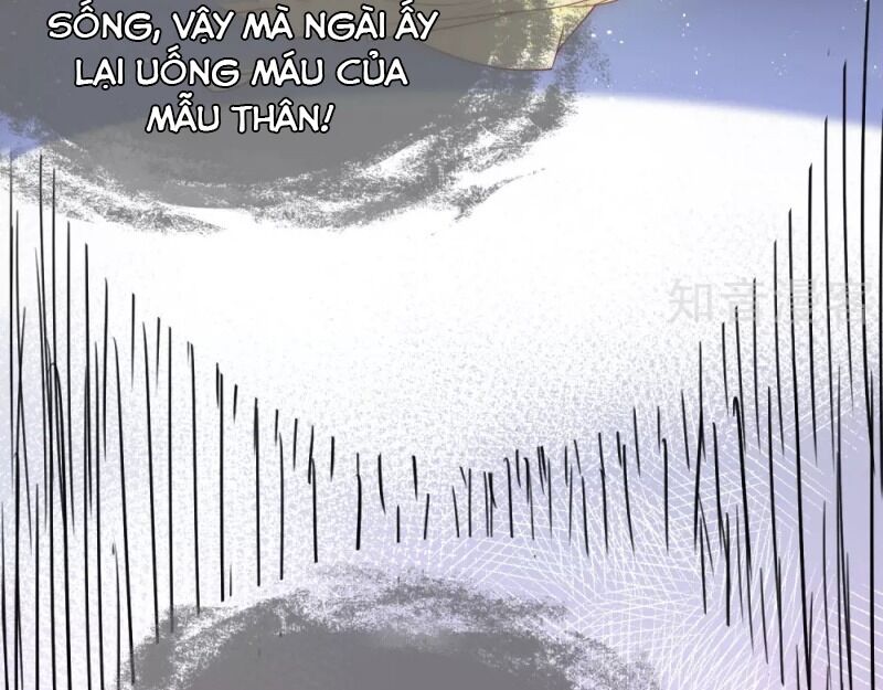 Sủng Hậu Của Vương Chapter 59 - 7