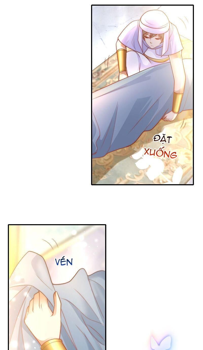 Sủng Hậu Của Vương Chapter 71 - 21