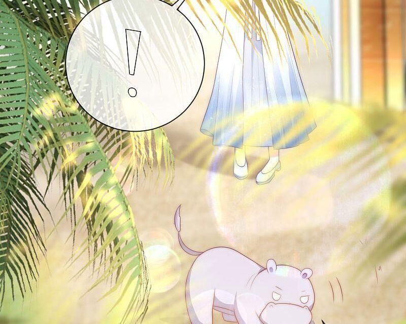 Sủng Hậu Của Vương Chapter 75 - 33