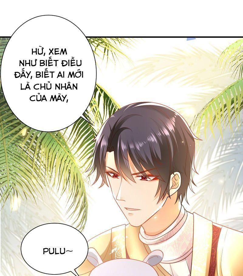 Sủng Hậu Của Vương Chapter 76 - 6