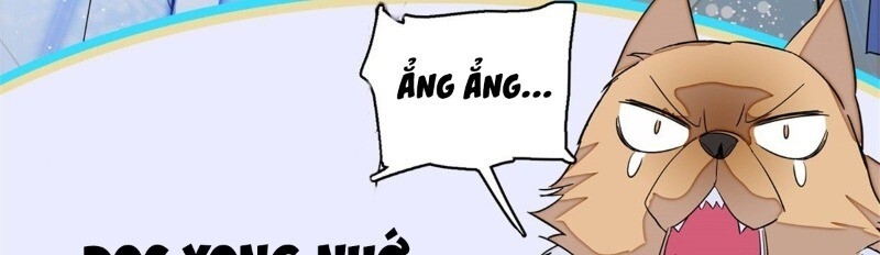 Tự Cẩm Chapter 23 - 80