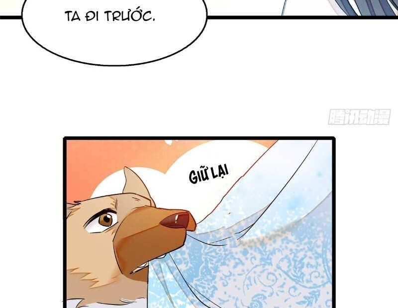 Tự Cẩm Chapter 25 - 12