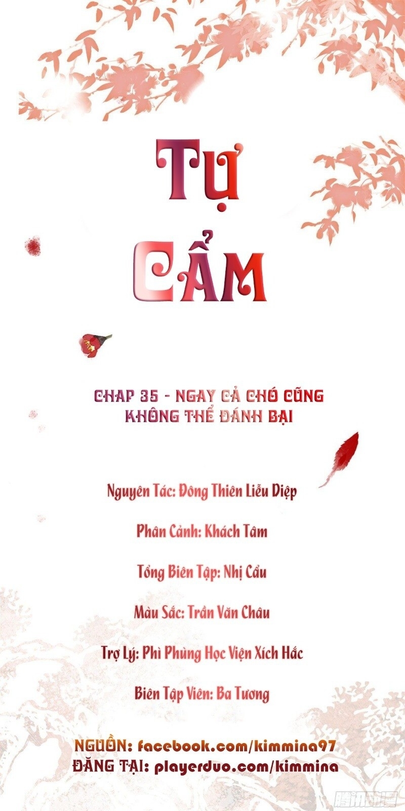 Tự Cẩm Chapter 35 - 2