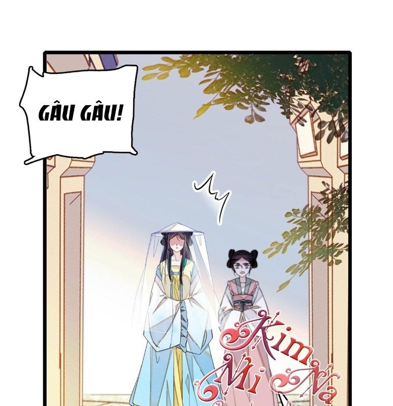 Tự Cẩm Chapter 37 - 52