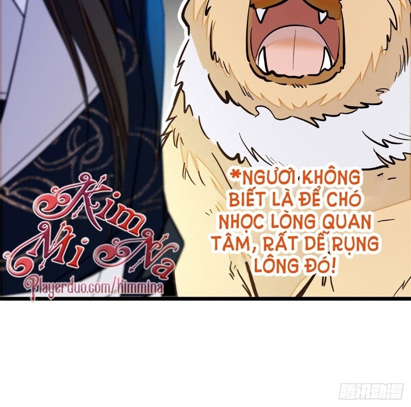 Tự Cẩm Chapter 38 - 13