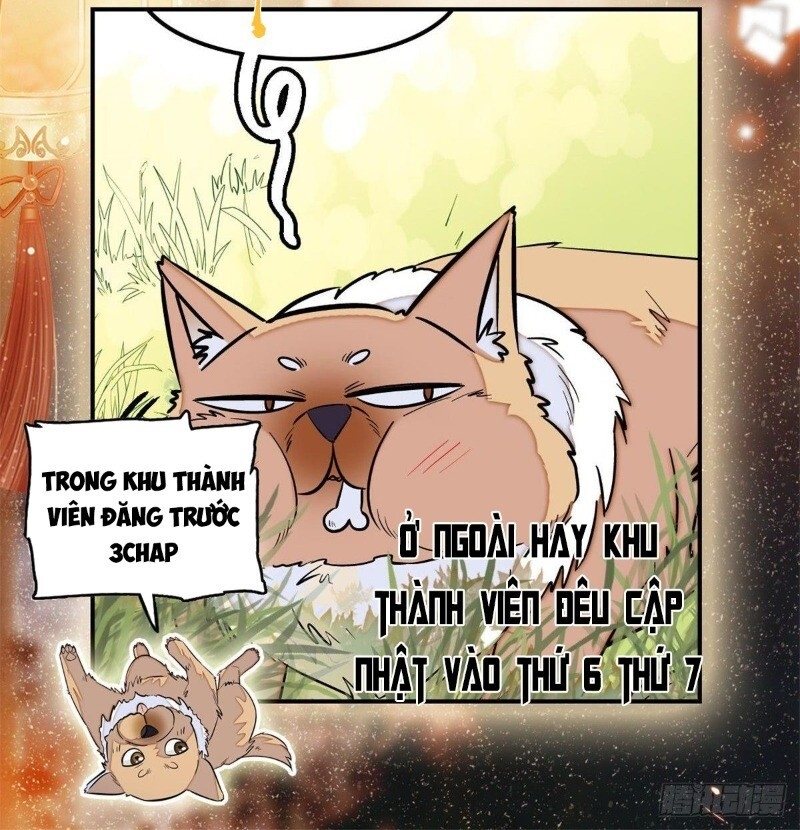 Tự Cẩm Chapter 44 - 49
