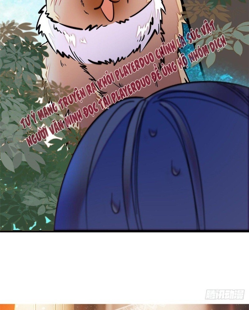 Tự Cẩm Chapter 46 - 48