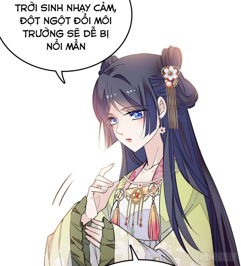 Tự Cẩm Chapter 48 - 4