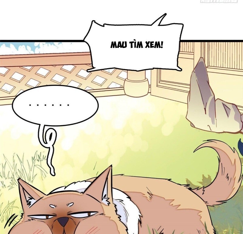 Tự Cẩm Chapter 48 - 61