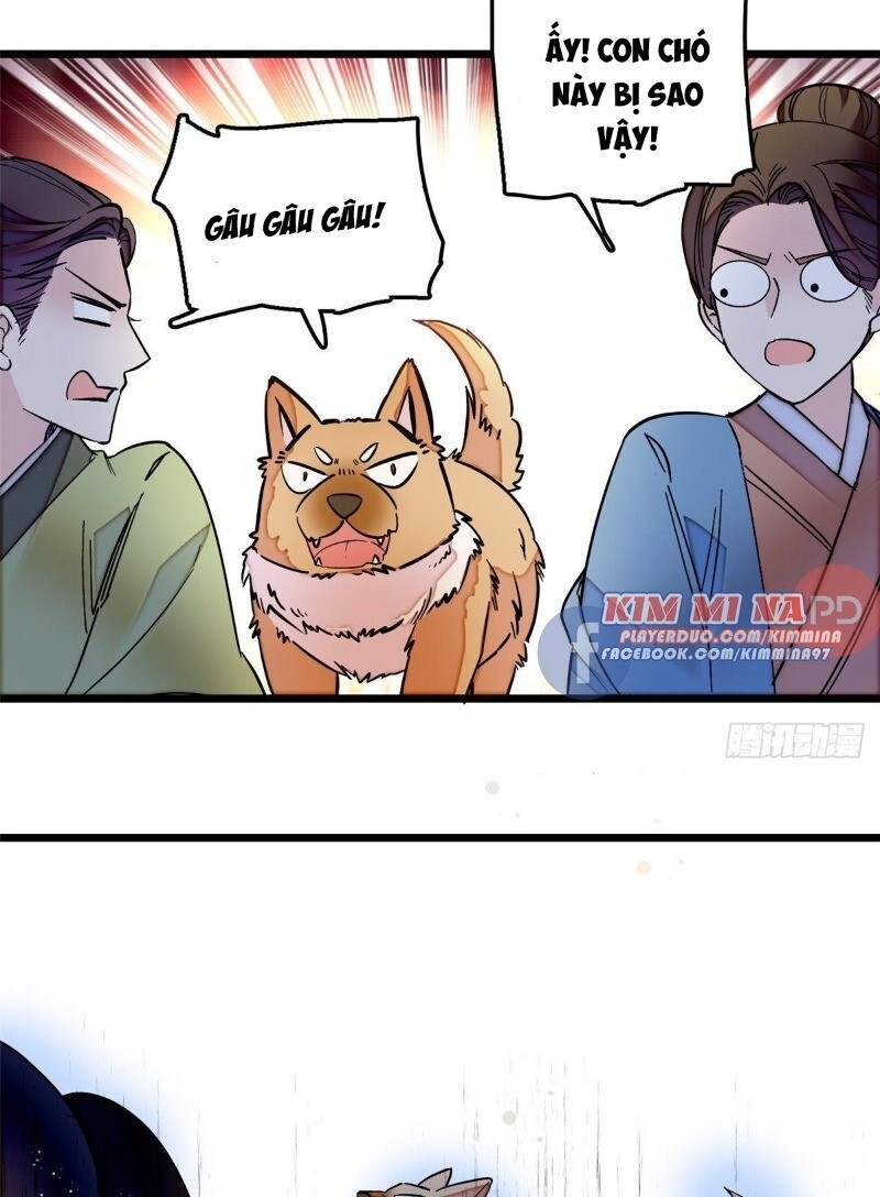 Tự Cẩm Chapter 49 - 19